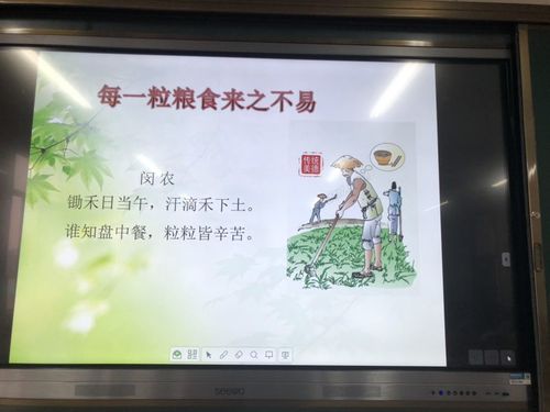 【环城二小六(2)班主题班会】——节约