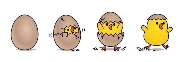 ip蛋炒饭:泛ip时代的思想,方法和案例 聚焦ip孵化与ip化品牌的成长