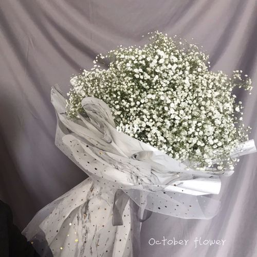 满天星花束_满天星_花束_婚礼花艺_花语_家居家装_家居装饰_花艺