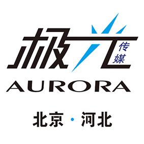 极光传媒设计制作品牌商标标志卡通企业vi字体平面