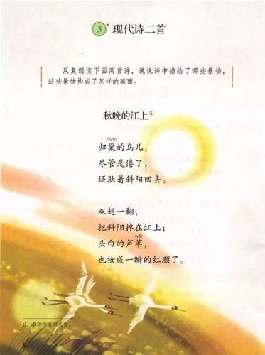 部编版四年级语文上册第三课《现代诗二首》知识点 图文解析 练习
