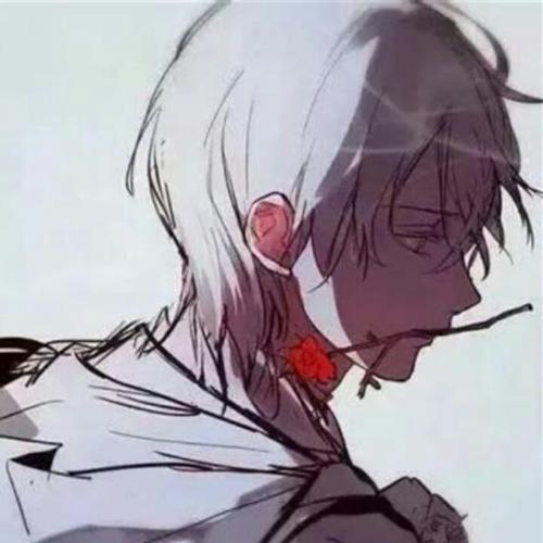 抖音少帅(冲1w)头像