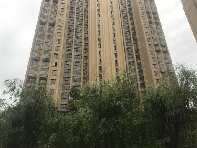 杉杉·国际城