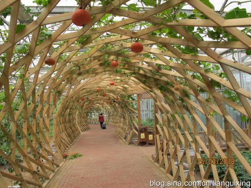 东南花都现代农业博览会