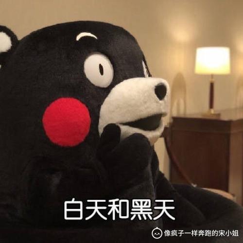 像疯子一样奔跑的宋小姐