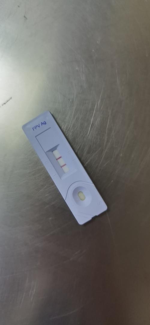 试纸猫瘟准确吗