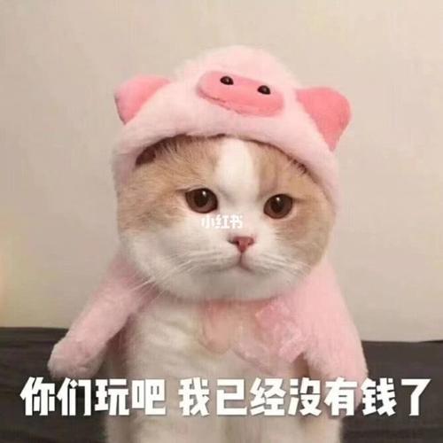 【表情包】_表情包_萌妹子_素材_表情包