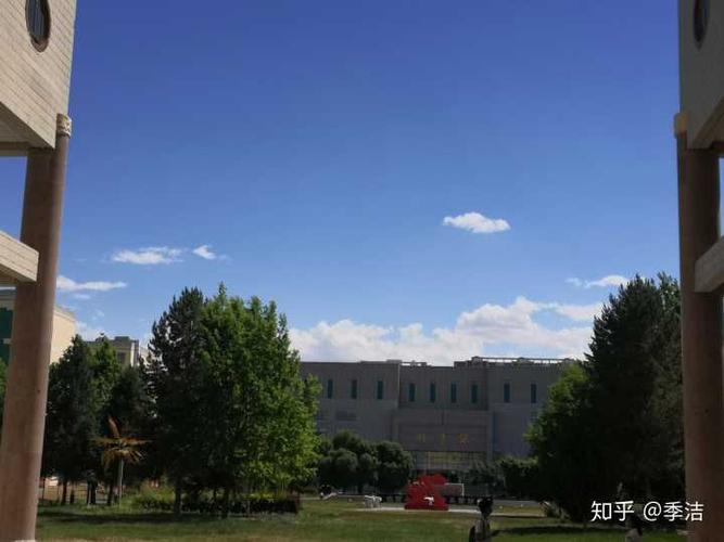 石河子大学的校园环境如何