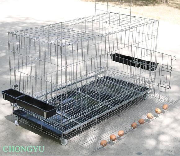 鸡笼子养殖笼铁丝笼加粗养鸡笼子鸡舍家用特大号折叠自动滚蛋鸡笼