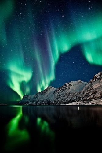 northern lights/norway
