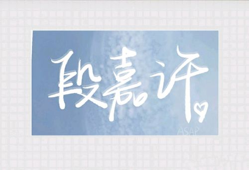 人间理想段嘉许