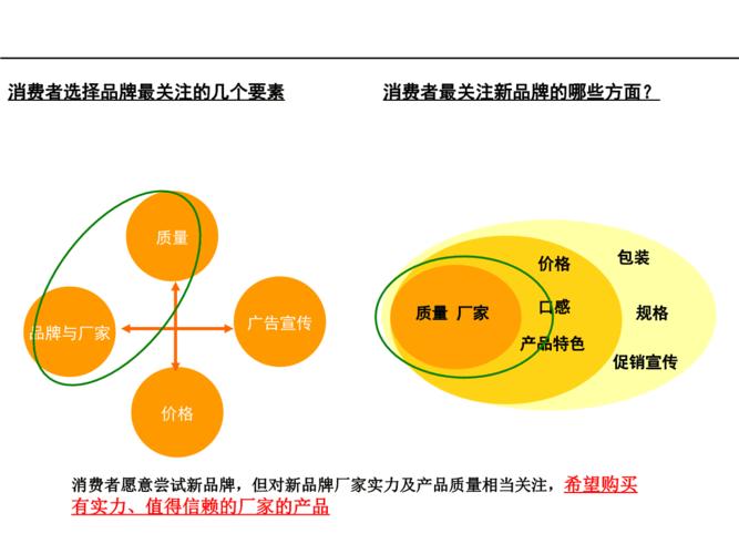 茶百年茶油品牌定位产品定位产品线规划.ppt 64页