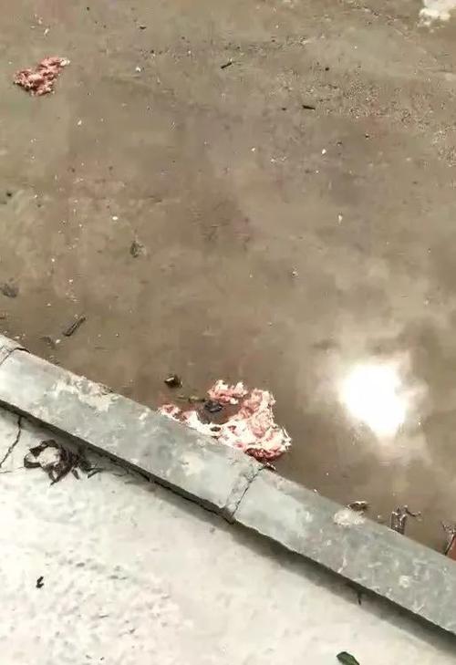 惨湛江一女子遭泥头车爆头当场丧命