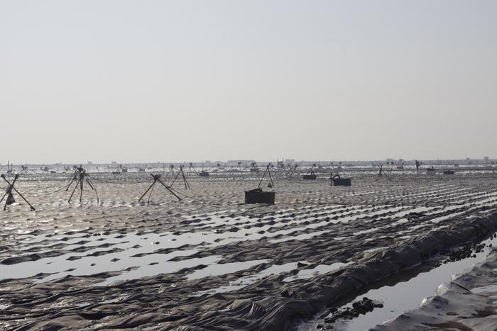 龙港新城 吹填现场图集