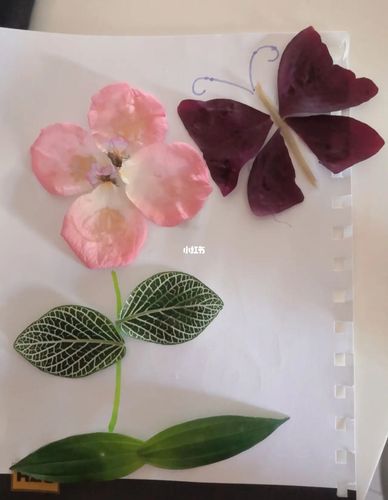 干花制作95花瓣手工_干花_手工制作_保养品_烤箱_花瓶_兴趣爱好