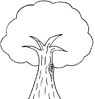 大树简笔画