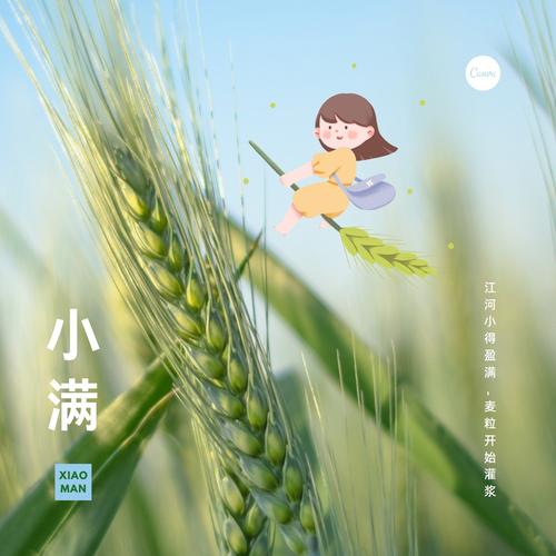 蓝绿色小满手绘节气节日分享中文微信朋友圈