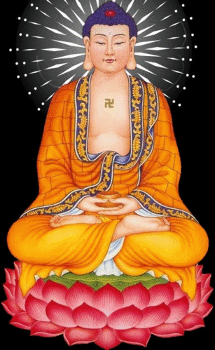 谁家有属狗的,不看悔终身!