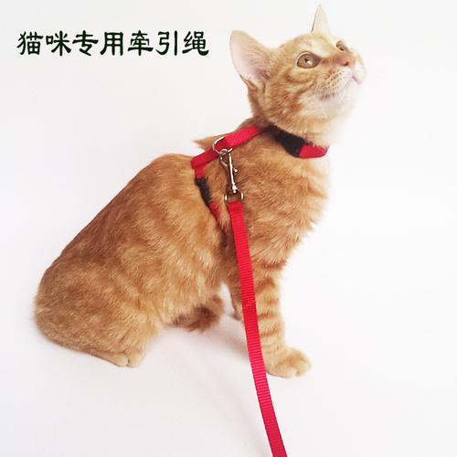 猫咪牵引绳工字猫绳不脱落淘宝爆款可定做猫链子宠物用品定制