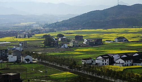 炎陵县,原名酃县,隶属于湖南省 a target="_blank" href="/item/株洲