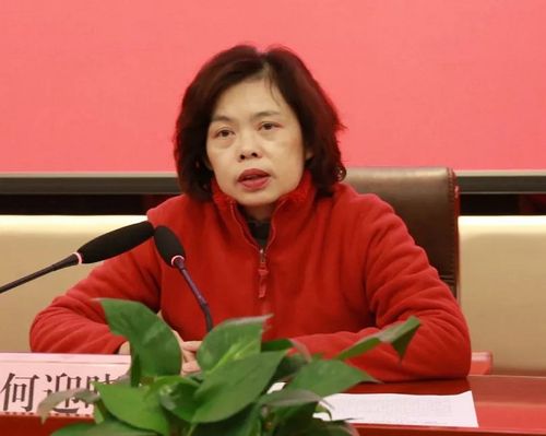 眉山市委宣传部何迎晓一行到金川县调研