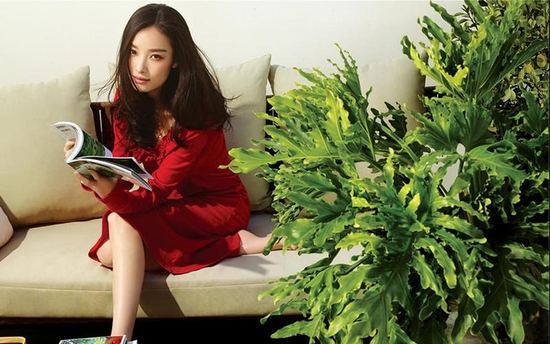 倪妮气质文艺写真图片桌面壁纸