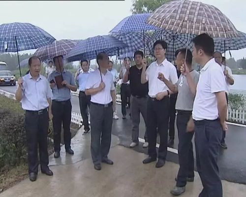 合肥市委副书记汪卫东在巢湖市督查美丽乡村建设和