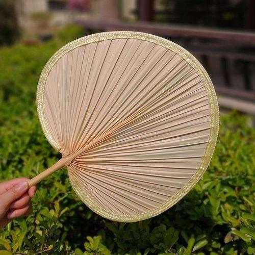 扇子芭蕉扇老蒲扇葵扇济公手工老式蒲叶扇夏季粽叶圆草扇大小蒲扇