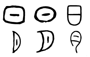 日月的甲骨文金文小篆怎么写