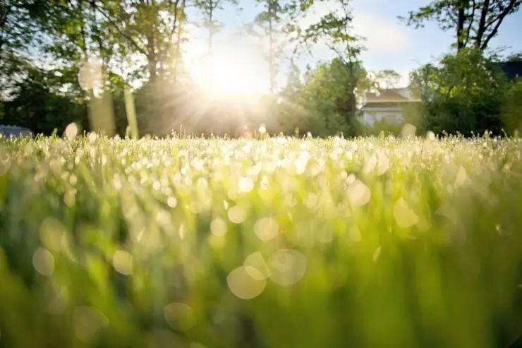 春天的太阳,是人体的万能补药!