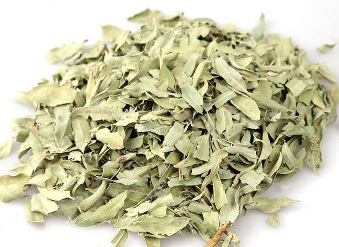 h187中药材罗布麻叶 新疆罗布麻茶 番泻叶