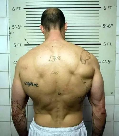 我想练成杰森斯坦森的背部需要付出多少努力