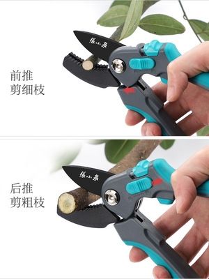 园林剪刀修枝剪张小泉图片