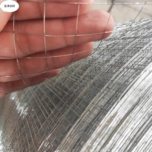 镀锌铁丝网低碳钢丝网1/2小丝抹灰防裂电焊网直销