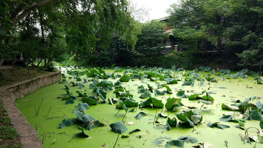 2016年国庆,金陵&梁溪行,忘不掉的是江南!