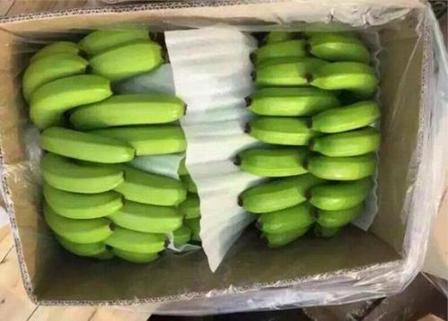 图绿香蕉催熟方法绿香蕉如何催熟呢4种催熟香蕉的方法介绍