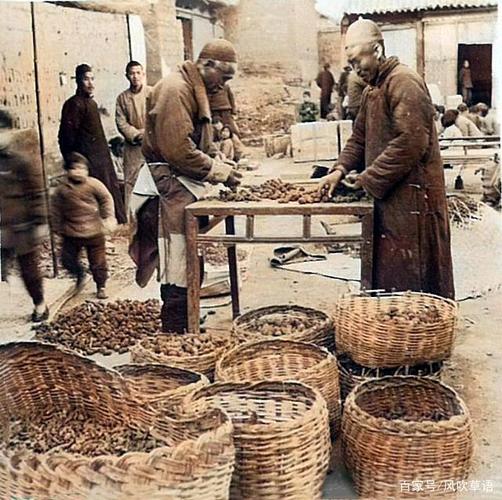 老照片:1941年1月,河南清化县(今博爱县)的怀药加工场
