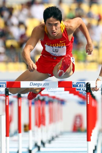 世锦赛110米栏预赛刘翔小组第一_高清图集_新浪网