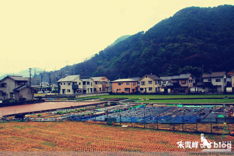 日本农村与中国农村 - 朱雪峰 - 一棵青青草のblog