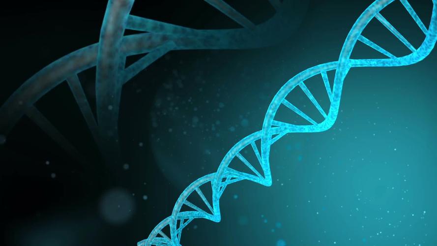 高清医学dna分子式双螺旋结构动态视频