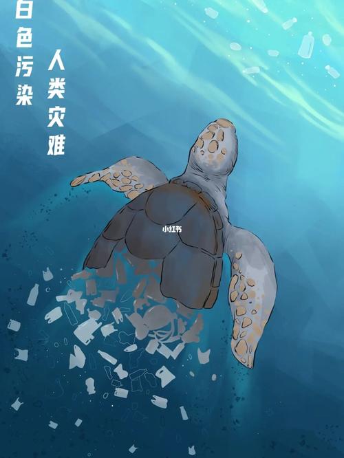 保护海洋,拒绝白色污染保护海洋生物