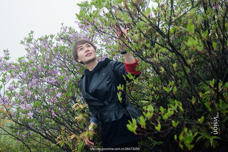 《她在丛中笑》