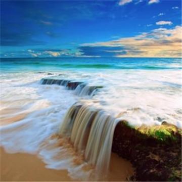 成熟男人微信头像风景2019 风不识路才会没有归宿