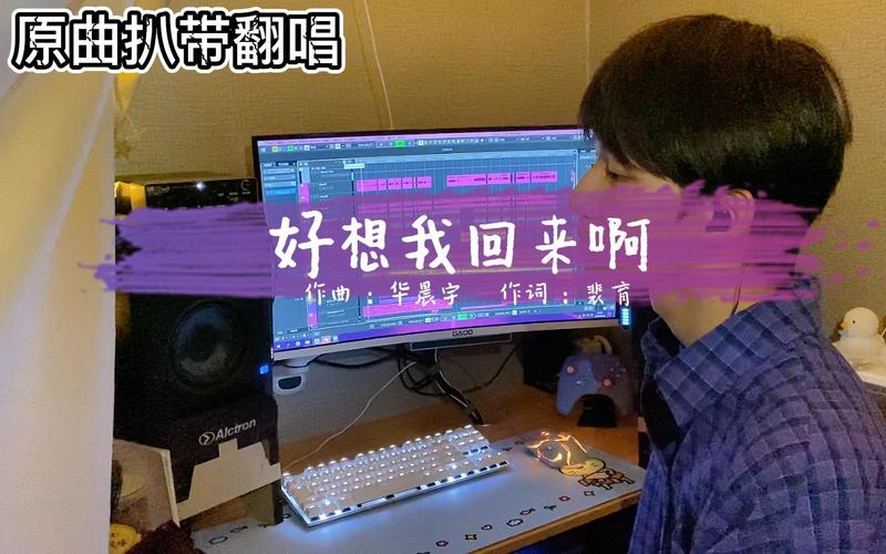 原曲扒带华晨宇五专未发行单曲好想我回来啊