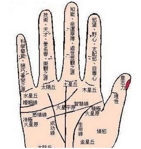 什么是玉柱纹?