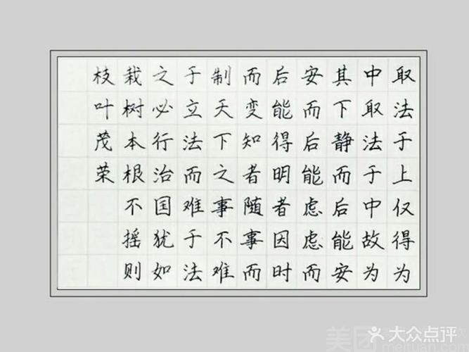 [唐镇] 赵汝飞练字硬笔书法