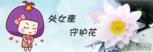 十二星座中,由于每个星座的性格特质都不相同,因此能够代表它们的鲜花