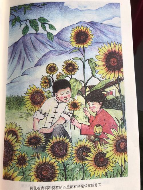 爱阅读之《青铜葵花》读后感—城关小学四七班刘瑾宏