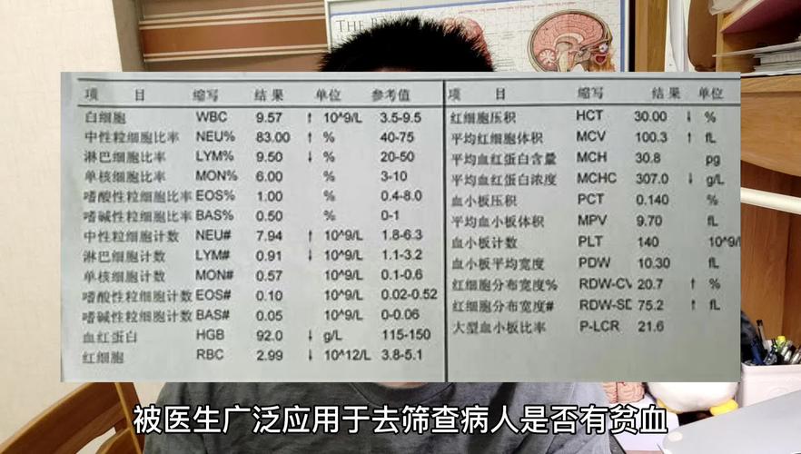 什么是熊猫血?