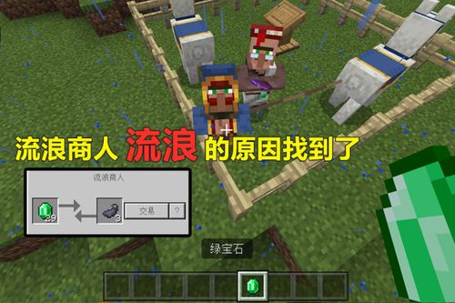 我的世界:流浪商人为何到处流浪?村民:因为它卖假货!